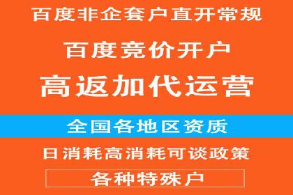 成功企业背后的百度推广策略
